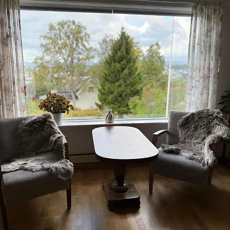 Pearl Near Mountains, Life And Northern Lights * Tromsø