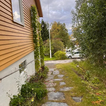 Pearl Near Mountains, Life And Northern Lights