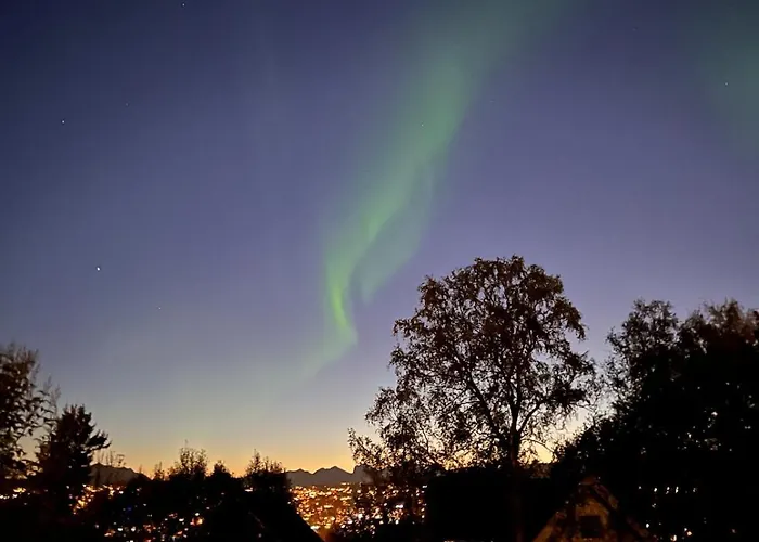 Pearl Near Mountains, Life And Northern Lights