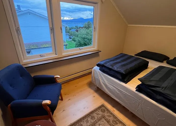 Pearl Near Mountains, Life And Northern Lights トロムソ
