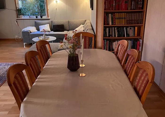 Pearl Near Mountains, Life And Northern Lights